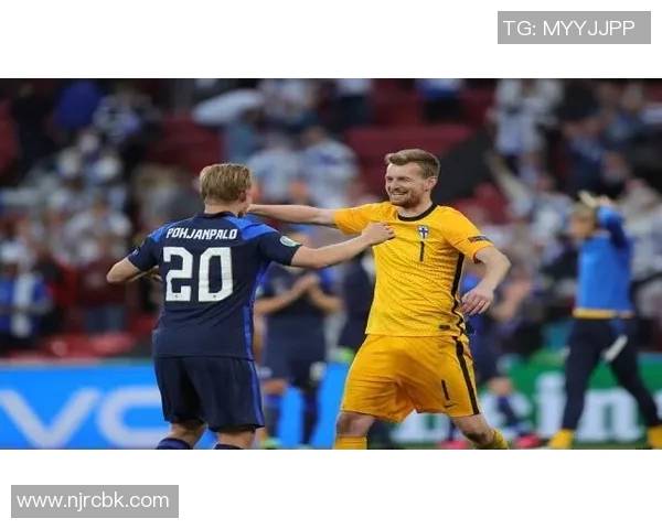 芬兰与冰岛足球赛精彩对决乐视直播全程回放与分析